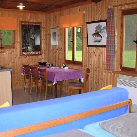 Reichenbachlodge Meiringen Εξωτερικό φωτογραφία